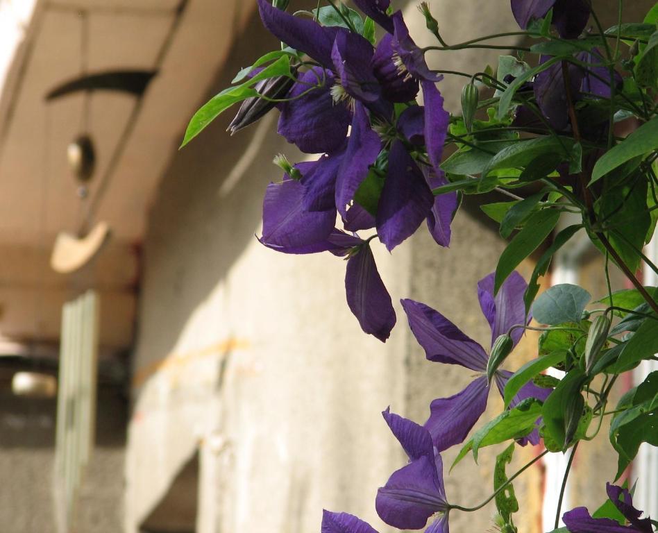 Kaevu Holiday House Parnu Ngoại thất bức ảnh